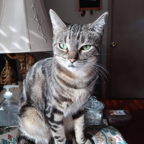 Meet your Poshers, Michael ๐ค And Dawn๐ - Picture 13 of 16